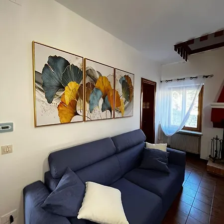 Punto E Virgola *